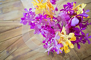 Colorful exotic orchid