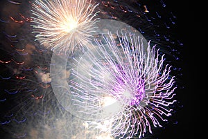 Colorful exploding fireworks in the sky on the Fourth of July.