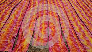 Colorful fabric drying after traditional dye process