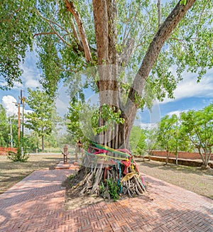 Colorful fabric or ribbon tied at a tree represents this tree of fortune and holiness. Traditional Thai Culture. The Ghost tree