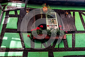 Colorful facades and flowers on all the windows decorate, the village of Riquewhir, Alsace, France