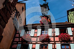 Colorful facades and flowers on all the windows decorate, the village of Riquewhir, Alsace, France