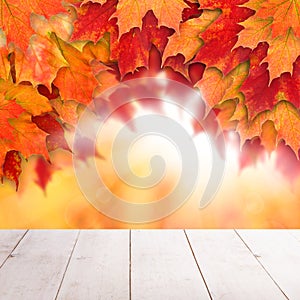 Colorful fall background. Autumn maple leaves and abstract sun light with empty white wooden board background