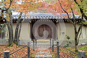 Colorful fall color leaves in Eikando Zenrinji gardens in Kyoto, Japan