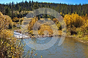 Colorful fall colors along a mountain stream