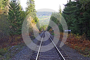 Colorful fall foliage along railroad tracks