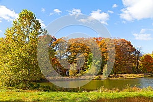 Colorful fall foliage of deciduous trees near the water.