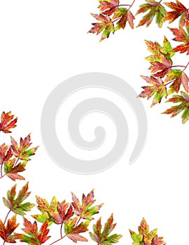 Colorful Fall foliage frame for text.