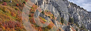 Colorful fall foliage over slopes of Wasatch mountains in Utah