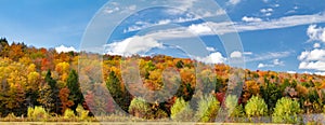 Colorful fall forest foliage in panoramic New England landscape