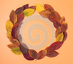 Colorful fall leaves laid out as wreath on pastel orange background. Top view. Copy space.