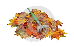 Colorful fall Leaves with Rake
