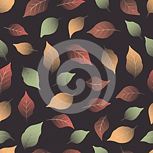 Colorful fall leaves seamless pattern vector for decoration on Autumn season.