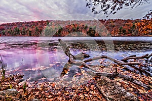 Colorful fall scenery landscapes.