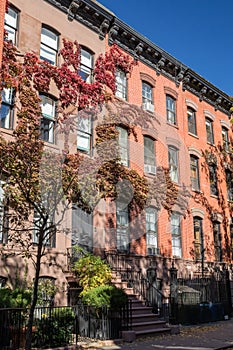 Colorful fall sidewalk scene in the Greenwich Village neighborhood of Manhattan, New York City