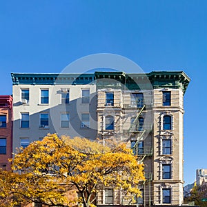 Colorful Fall Tree and Apartment Building in the East Village of New York City photo