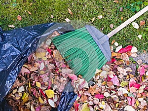 Colorful fallen leaves with garden broom in and near plastic bag