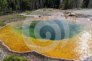 The colorful, famous Morning Glory pool hot spring in Yellowstone National Park USA