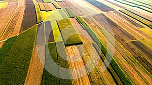 Colorful Farm Fields with Crop. Abstract Patterns. Aerial Drone view