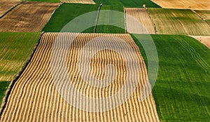 Colorful Farmfields in Coutryside. Farmland and Fields at Rolling Hills