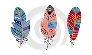 Colorful Feather and Plumage as Boho Tribal Element Vector Set