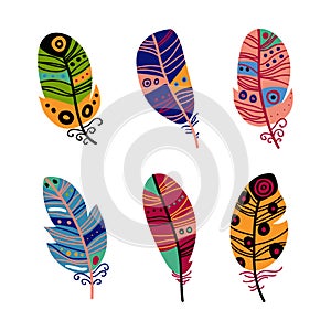 Colorful Feather and Plumage as Boho Tribal Element Vector Set