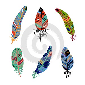 Colorful Feather and Plumage as Boho Tribal Element Vector Set