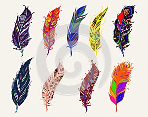 Colorful Feather Set Vector Illustration
