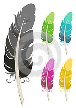 Colorful feathers