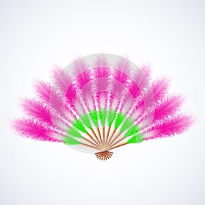 Colorful feathers fan isolated on white