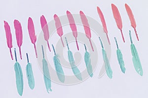 Colorful feathers, light pastel background