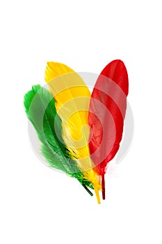 Colorful feathers on white background.