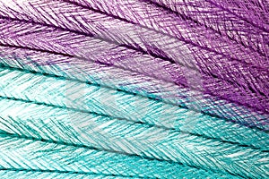 Colorful feathery background