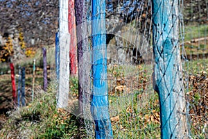 Colorful fence in the countryside
