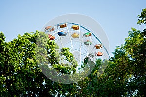 Colorful ferris wheel of the amusement park in the blue sky background and green trees