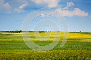 A colorful field under a blue sky