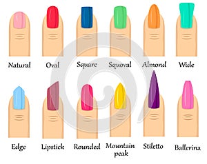 Colorful fingernails with different shape