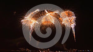 Colorful firework celebration display in the sky on New Year, Christmas, 4th July, Diwali