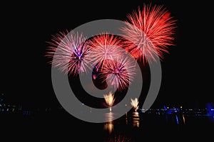 Colorful fireworks against a black night sky.Fireworks for new year. Beautiful colorful fireworks display on the urban lake for