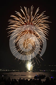 Colorful fireworks celebration with people and the city night light background.