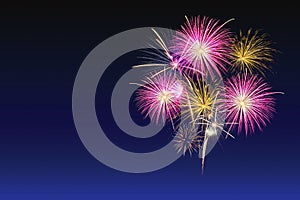Colorful fireworks celebration and the twilight sky background
