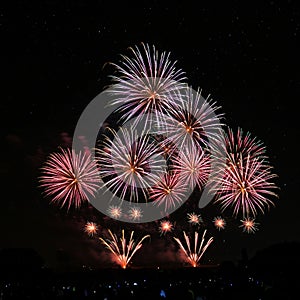 Colorful fireworks explode in the night sky, creating vibrant floral patterns. The display