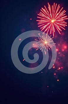 Colorful fireworks exploding in the night sky