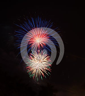 Colorful Fireworks Exploding in the Night Sky