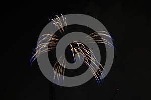 Colorful Fireworks in Night Sky