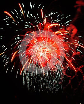 Colorful Fireworks in Night Sky