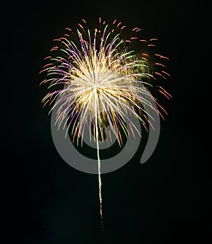 Colorful fireworks in the night sky