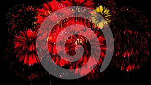 Colorful fireworks at night. Spectacular firecrakers 3d render. Red version 4