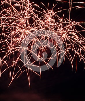 Colorful fireworks over dark sky