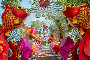 Colorful fish at Chinese lantern festival